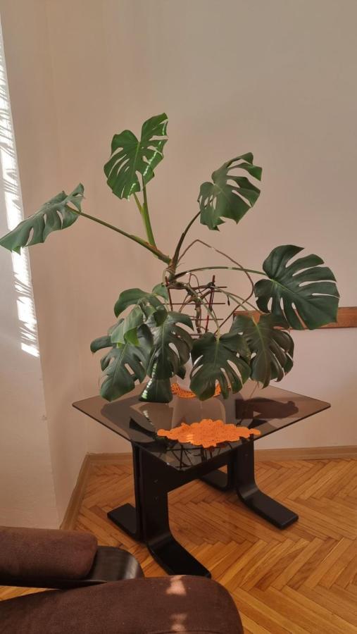 סקופיה Risto Apartment מראה חיצוני תמונה